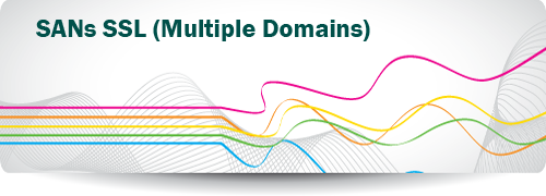 Subject Alternative Names (SANs) SSL Certificates