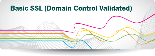 Domain Validated SSL Certificates